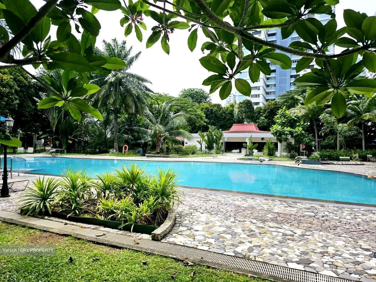 Laguna Park (D15), Apartment #550543301